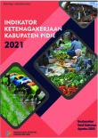 Indikator Ketenagakerjaan Kabupaten Pidie 2021